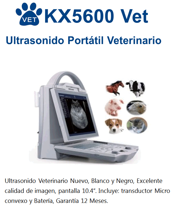 Ofertas del mes en Ultrasonidos Portátiles y Veterinarios